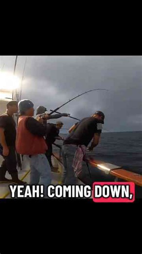 Offshore fishing for yellowtail and dorado in San Diego