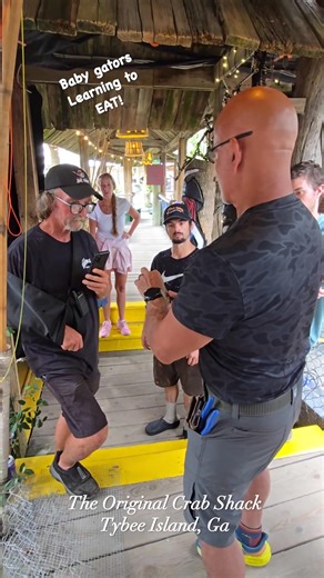🐊✨ Meet Gator Gerald – and say hello to our newest baby gators who just came home! Watch how these amazing creatures eat, breathe, and thrive right here at The Original Crab Shack. Every gator here lives a happy, safe, and healthy life with us. 💚 Bring the whole family to see the babies up close – and don’t forget, you can even feed them yourself! 📍 The Original Crab Shack – Tybee Island, GA 👣 Where the elite eat in their bare feet #TheOriginalCrabShack #GatorGerald #BabyGators #TybeeIsland 