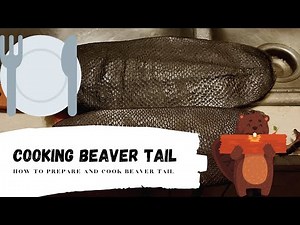 Cooking Beaver Tail