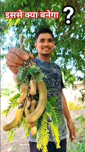 green imli se kya banega? #shorts #food #imli #minivlog