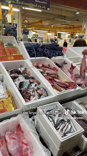 Exploring Billingsgate Fish Market in London