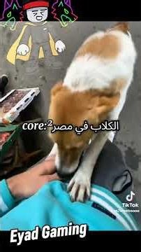 كلبنا في مصر😂🤣 #roblox #النظافه #edit #mm2 #fnf #robloxart #memes #robloxgame #robloxcharacter