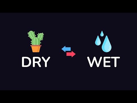 The DRY Programming Principle