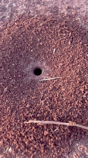 Its a different hole | Werner Johannes Smit