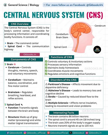 32K views · 282 reactions | The CNS plays a crucial role in...