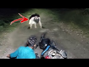 Top 5 SCP's That Were FINALLY Caught On Camera