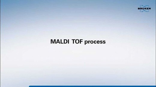 MALDI-TOF MS具体原理和工作过程