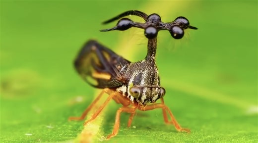 Nearly impossible test challenges viewers' knowledge