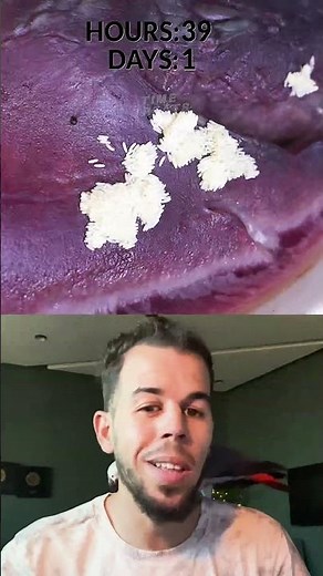 قلب الخنزير VS الزمن ⏱️