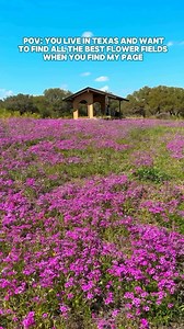 26K views · 211 reactions | Spring Flowers Are Coming!  Get Ready...