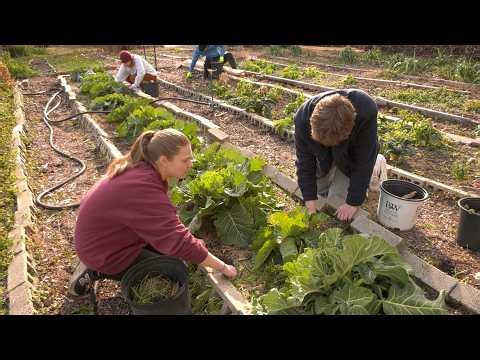 Sustainable Carolina feeds USC students