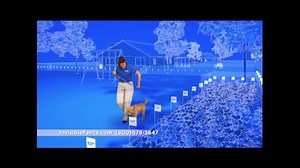 Invisible Fence TV Commercial