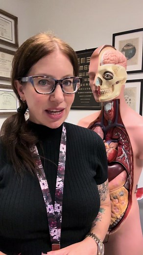 Why does the scalp bleed so much? Stitch with @elle (the pa) #scalp #scalplaceration #laceration #staples #anatomy #bloodsupply #innervation #cranialnerves #carotidartery #layersofthescalp #anatomy #anatomylab #anatomyandphysiology #head #anatomytips #anatomyclass #premed #optometryschool #prehealth #dentalschool #learnontiktok #fyp #fypシ