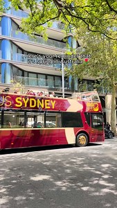 Consider this a sign. A sign to sightsee Sydney 😉 #BigBusTours #sydney | Big Bus Tours