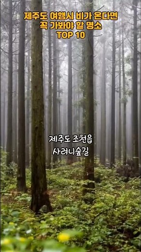 제주도 여행시 비가 온다면 꼭 가봐야 할 명소TOP 10 #국내여행 #travel #여행지 #여행지추천 #여행 #대한민국 #추천 #trip
