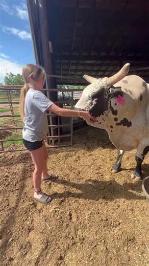1M views · 52K reactions | Just a girl and her bull! | Nothin' But Try Ranch and Event Center | Facebook