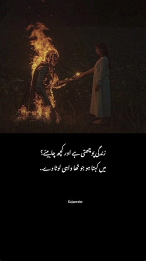 “Give Me Back My Past” ❤️‍🩹 #UrduPoetry #HeartTouching #EmotionalLines #Pain #RealityOfLife #Shorts