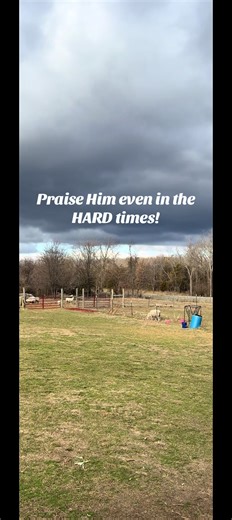 Joyce Morris (@morrispatchofheaven)’s videos with enjoy every moment, always smile - Lana Del Ray