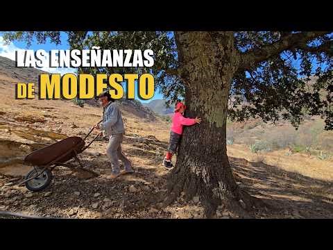 Abraza o súbete a un ARBOL Y esto maravilloso va a pasar...