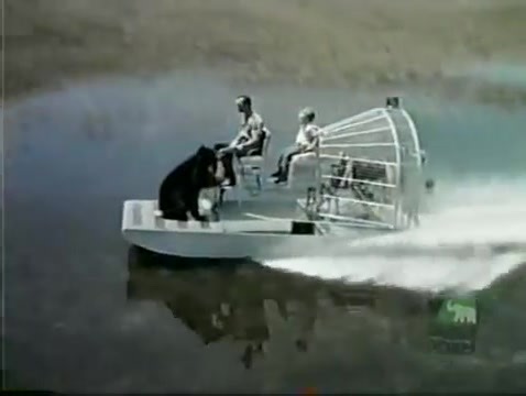 190K views · 4.2K reactions | OUR BOOM TV CHARACTER OF THE DAY: That big ball of ursine fun, “Gentle Ben.” His boy buddy, Mark Wedloe, was played by Clint Howard, Ron Howard's brother. | BoomUnderground.com | Facebook