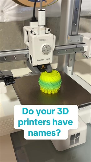 Do you printers have names? I’m wanting to name mine and I’m curious what names you’ve chosen. #fyp #3dprinting #3dprinting #diy #homeorganization