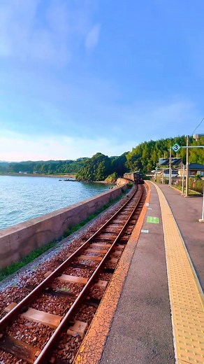 2.7K views · 37 reactions | From ancient temples to neon cityscapes, every corner of Japan tells a story waiting to be discovered. Whether you dream of cherry blossoms, Mount Fuji views, or traditional tea houses — we’ll make your journey unforgettable.   Book your private Japan tour today! ✉️ japanichibantours@gmail.com | info@japanichibantours.com  https://japanichibantours.com  https://www.instagram.com/japan_ichiban_tours/ | Japan Ichiban Tours | Facebook