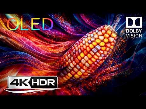 This 4K OLED Demo Looks Reality-Breaking 😱 | Dolby Vision HDR 4K 240fps Test