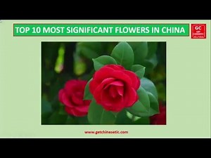 Top 10 most popular flowers significant to the Chinese culture