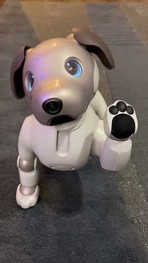 Training My New Ai Robot Dog Casper for New Tricks!
