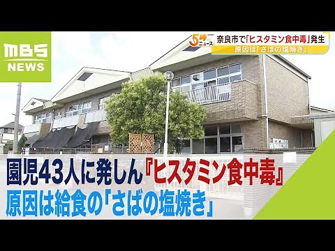 給食の「さばの塩焼き」食べた園児43人に発しん 『ヒスタミン食中毒』発生 全員軽症（2023年6月16日）
