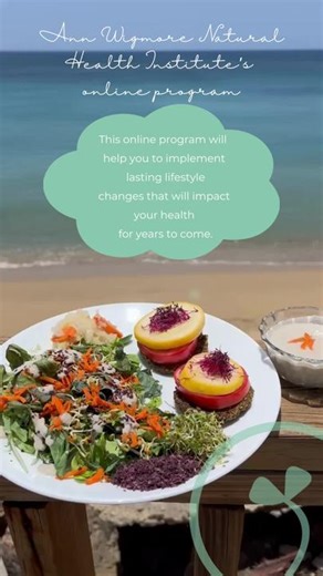 Join us for Ann Wigmore Natural Health Institute’s online program. Immerse yourself in the Living Foods Lifestyle™ and learn-by-doing. This online program will help you to implement lasting lifestyle changes that will impact your health for years to come. www.annwigmore.org/onlineprogram/ #online #nutritiontips #healthcoach #vegan #healthyliving