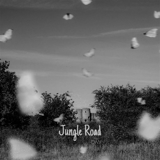 Jungle Road - CWY