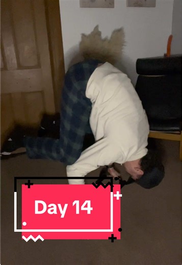 #calisthenics #handstands #workout #strength #pullups