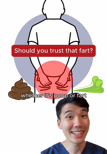 Understanding the Body's Mechanism for Flatulence and Bowel Movements