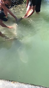 Great video from today 👊 | River Monster Adventures