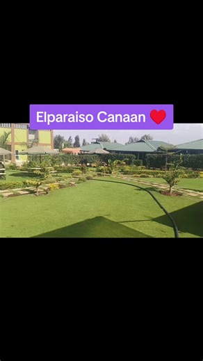 Top Kenyan TikTok Stars You Need to Follow