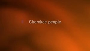 Karaoke Indian Reservation (The Lament of the Cherokee Reservation Indian) - Paul Revere & The Raiders - CDG, MP4, KFN - Karaoke Version