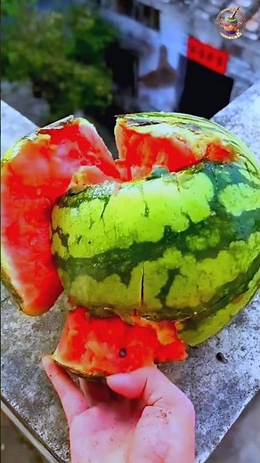 Cracked Watermelon High Roof Drop Smash! 🍉💥 | Satisfying ASMR #Shorts