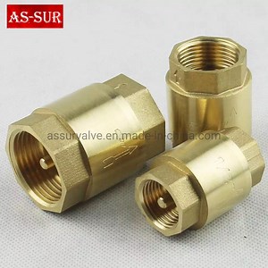 [Hot Item] Spring Non Return Swing Valve Vertical Brass Check Valve