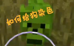 【墨言/我的世界】如何给狗的本身染色