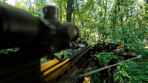 Crossbow Videos: Download 4+ Free 4K & HD Stock Footage Clips - Pixabay