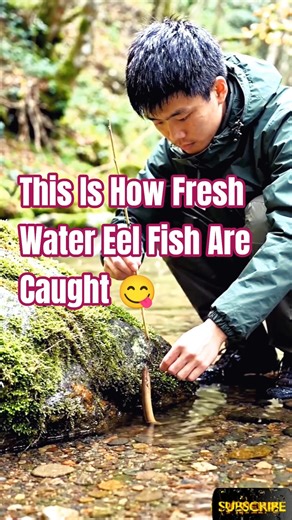 Eel Fishing At Its Best | Big Fish #fishing