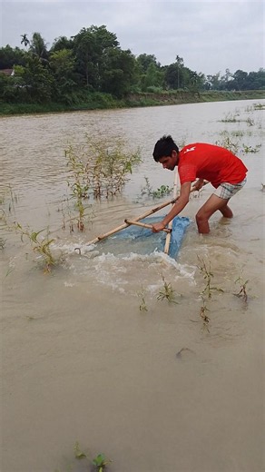 “Push Net Fishing Compilation”#fishin #viral