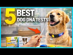 ✅ Top 5 Best Dog DNA Test Kits Reviewed for Accuracy and Value in 2026
