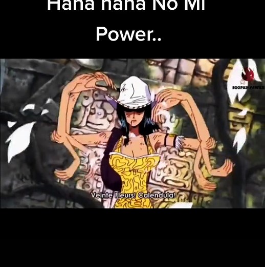 #nikorobin #onepiece #animelovers #anime