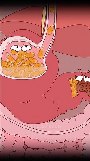 Why does the stomach explode?#shorts