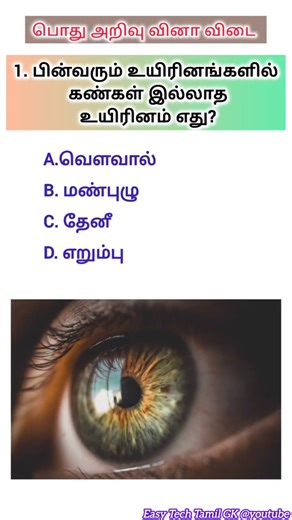 General Knowledge Questions Tamil Pothu Arivu Tamil GK in Tamil #shorts #gk #tamil #facts #tnpsc