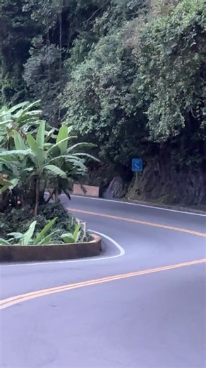 Beautiful Cars Collection that Will Amaze You