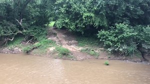 Here’s the trail to get out. No real landing, and muddy | Salt Creek Kayak Adventures