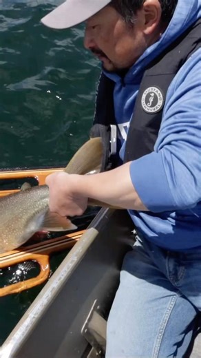 Jigging for big lake trout 🐟